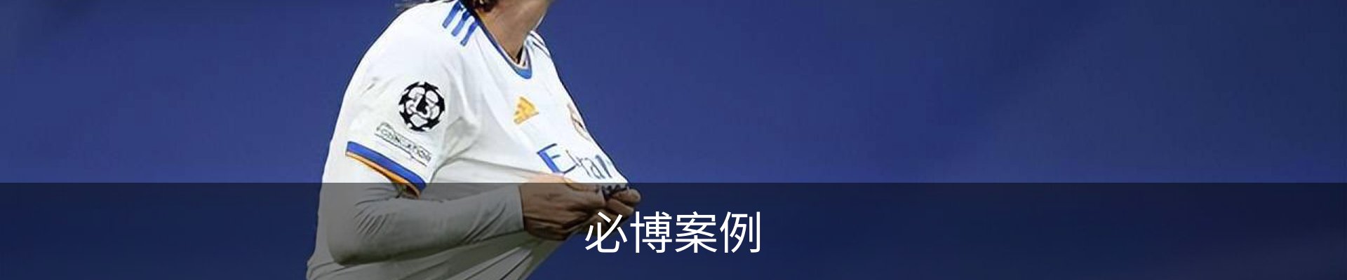 必博案例